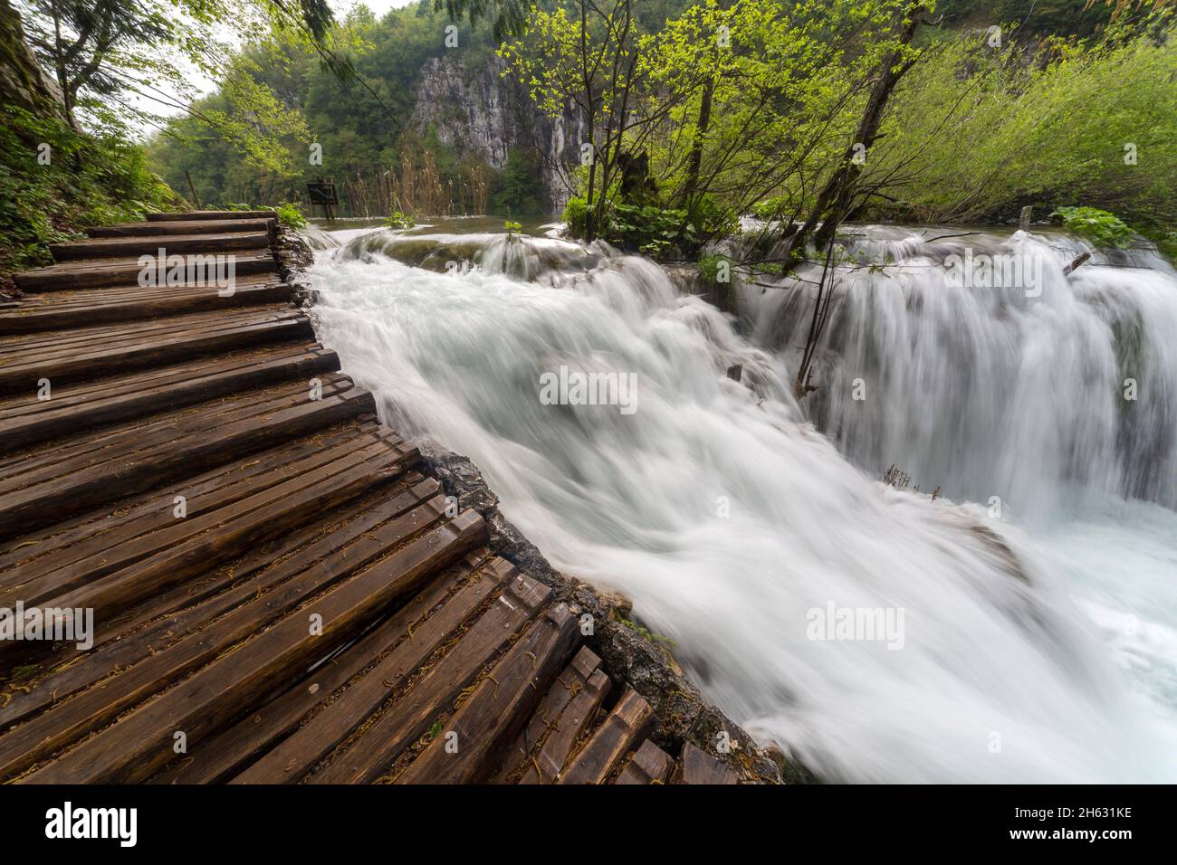 una pasarela de madera rodeada de árboles, cascadas y vegetación en el parque nacional plitvice, croacia Foto de stock