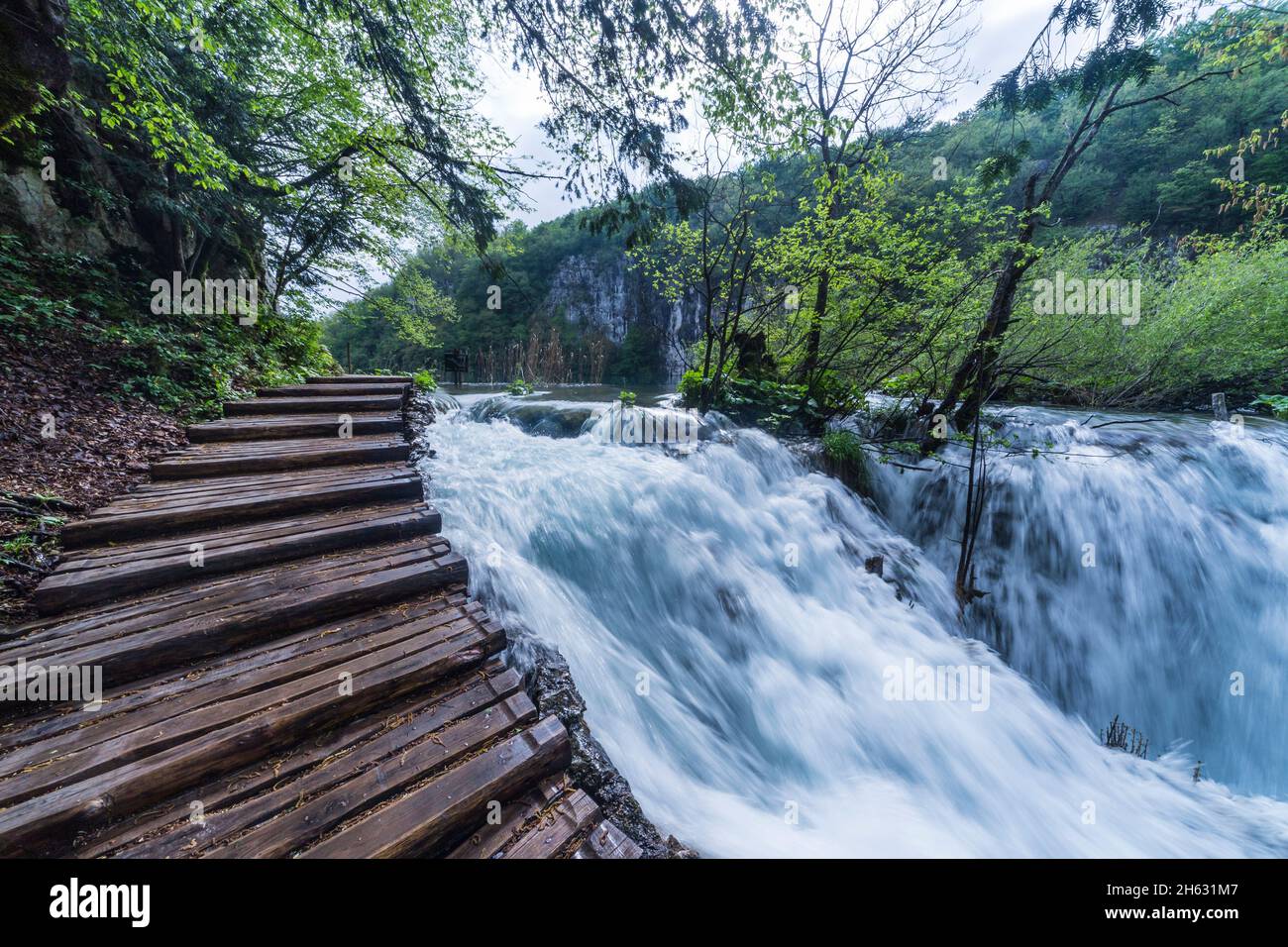 una pasarela de madera rodeada de árboles, cascadas y vegetación en el parque nacional plitvice, croacia Foto de stock