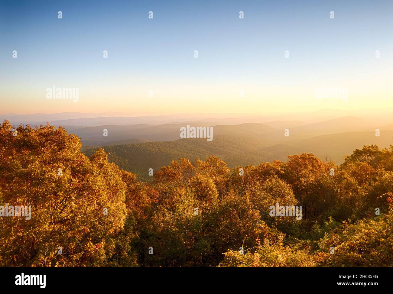 Vista al amanecer desde una vista del lado este en el pintoresco camino de Talimena en el Bosque Nacional de Ouachita. Follaje de otoño brillante en árboles de primer plano, y niebla pesada Foto de stock