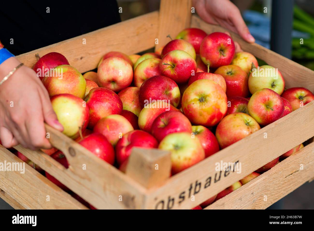 la mujer lleva una caja de fruta con manzanas Foto de stock