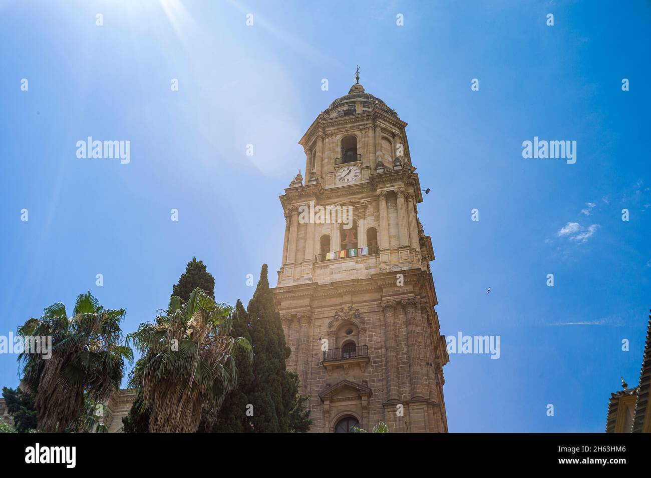 málaga, españa: catedral de málaga de la encarnación ('santa iglesia catedral de la encarnación') - 'la manquita' en español (una dama armada). Foto de stock