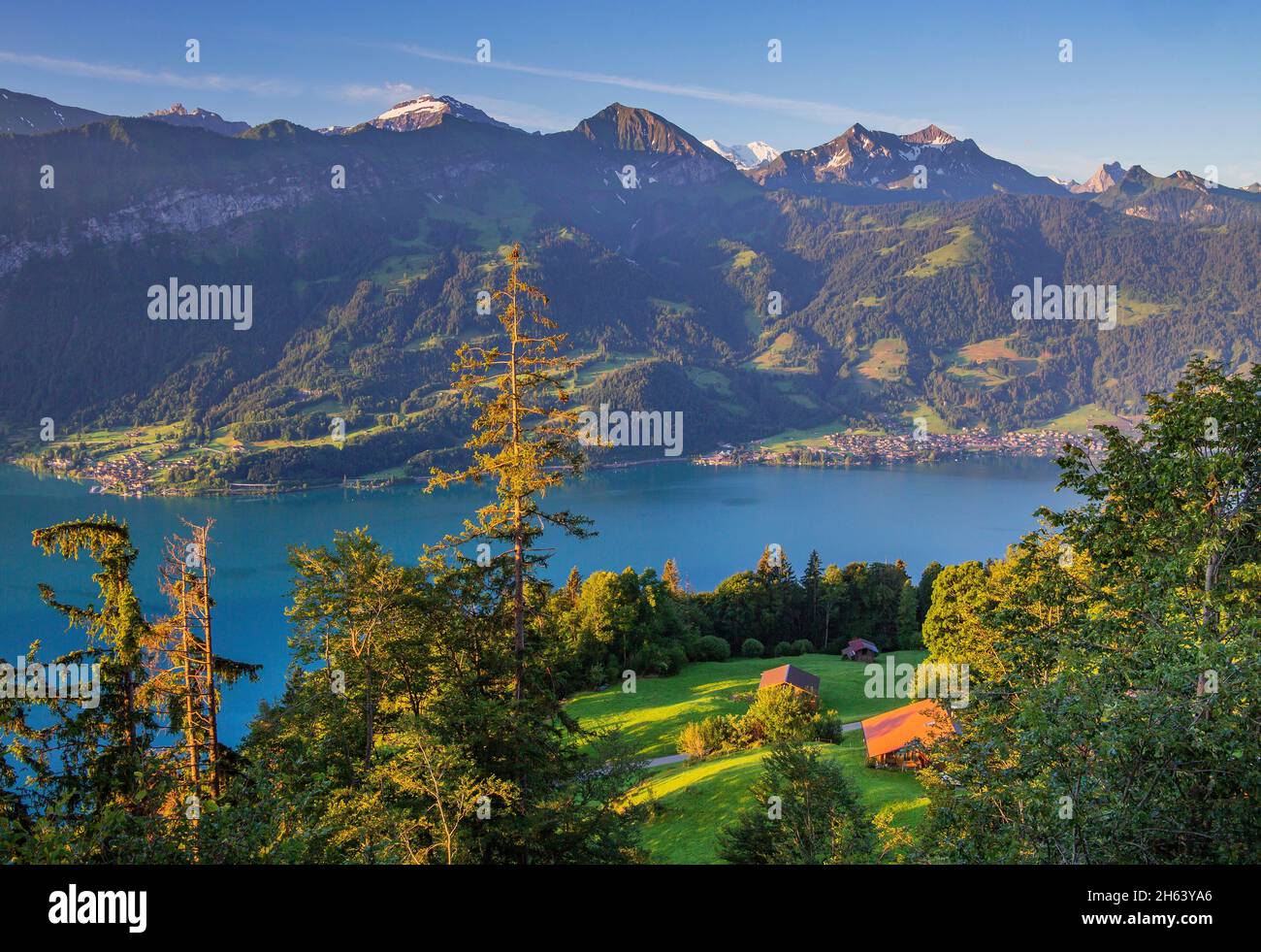 cabaña de montaña sobre el lago thun en la mañana temprano sol,beatenberg,alpes berneses,oberland bernés,cantón de berna,suiza Foto de stock