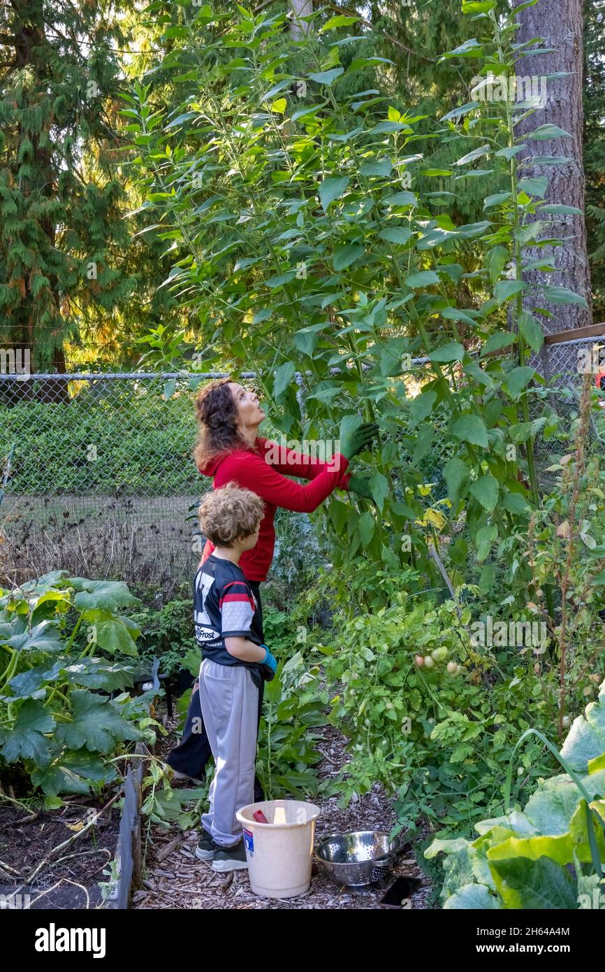 Jardinero de 7 a os fotograf as e im genes de alta resoluci n Alamy