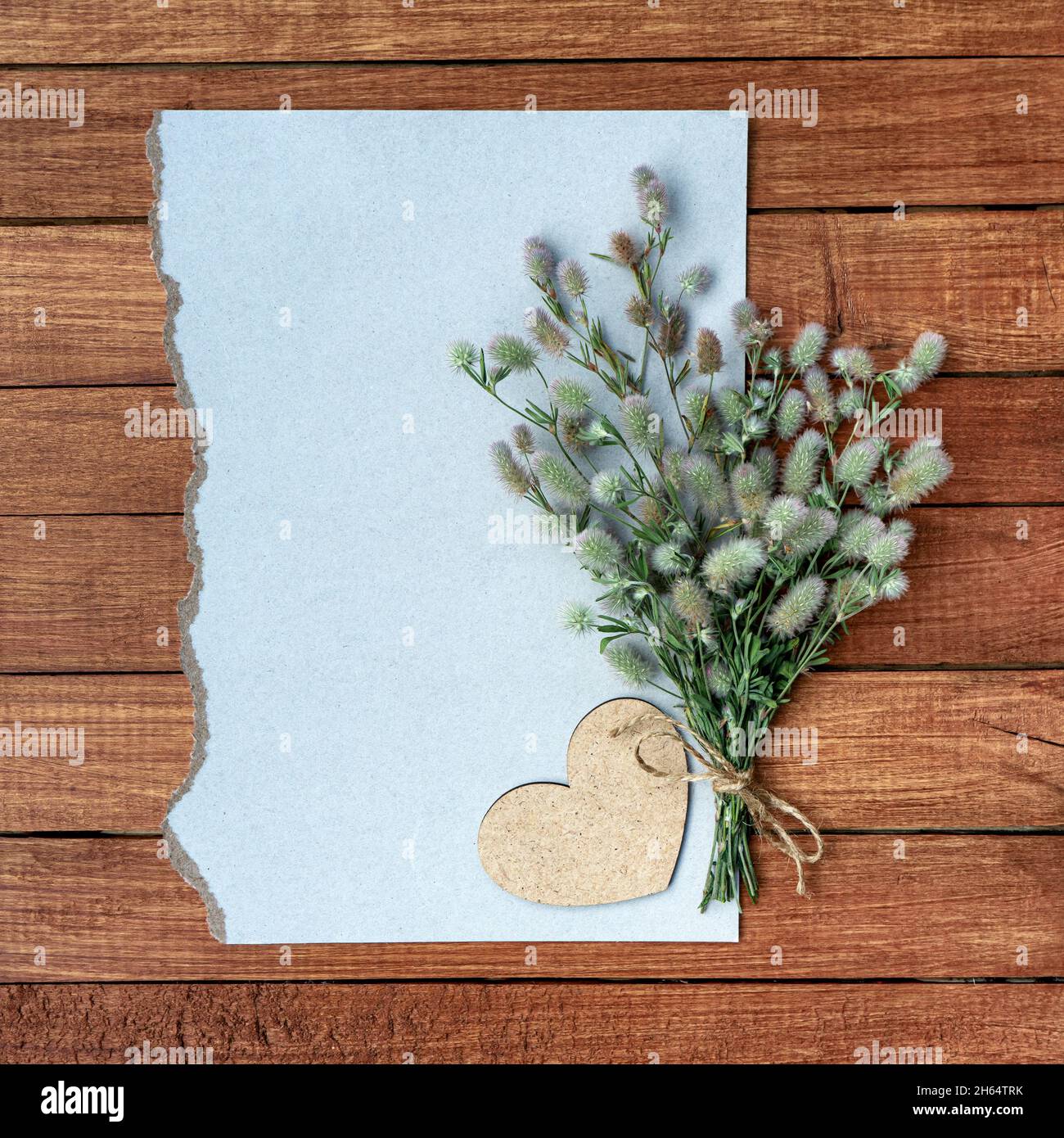 tarjeta con un ramo de flores silvestres esponjosas con espacio de copia para el diseño Foto de stock