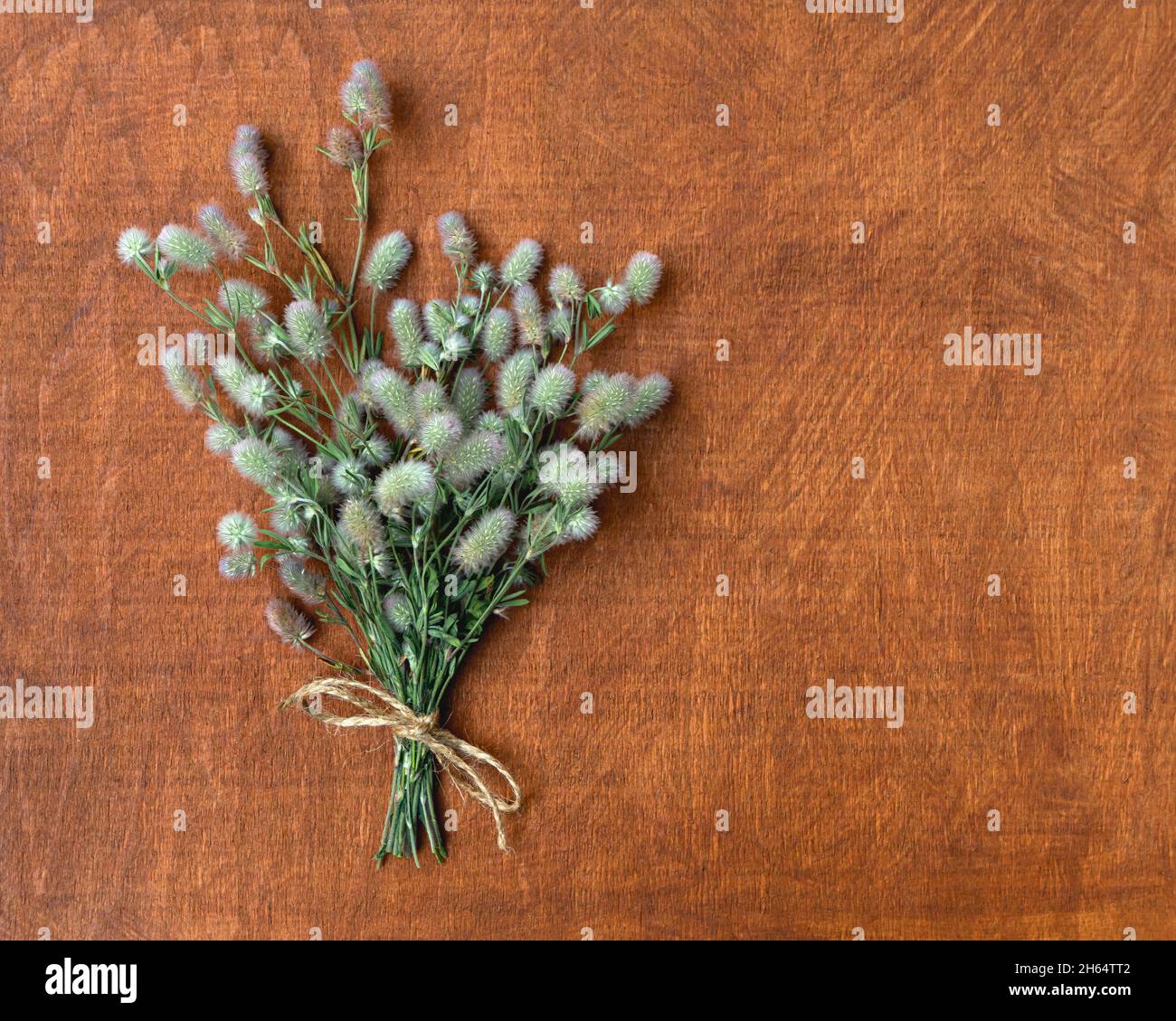 tarjeta con un ramo de flores silvestres esponjosas con espacio de copia para el diseño Foto de stock