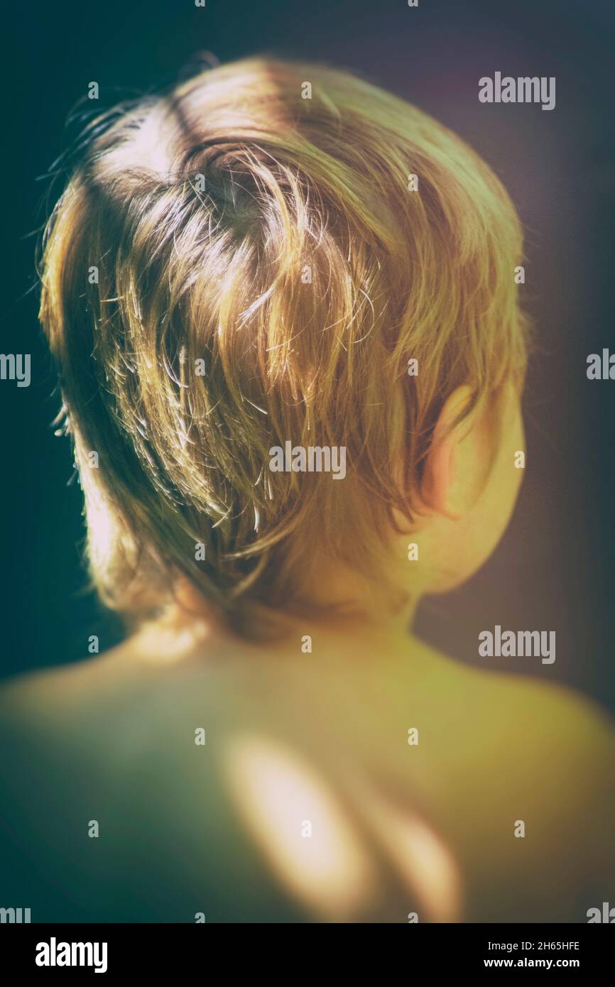 cabeza de niño de 2 años desde atrás, con manchas claras Foto de stock