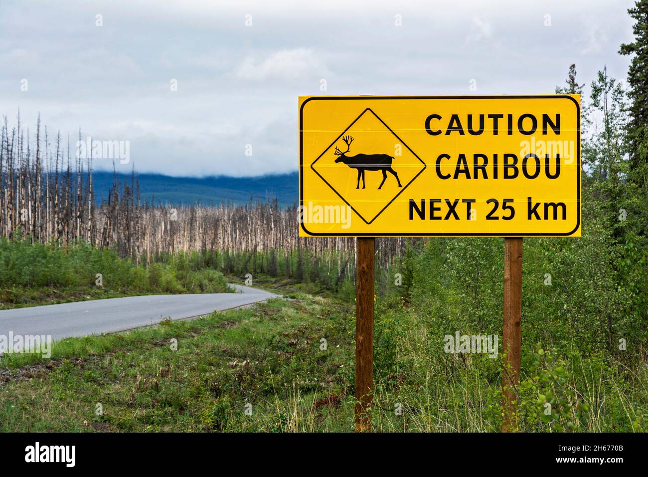 Canadá, British Columbia, Cassiar Highway, caribou señal de precaución Foto de stock