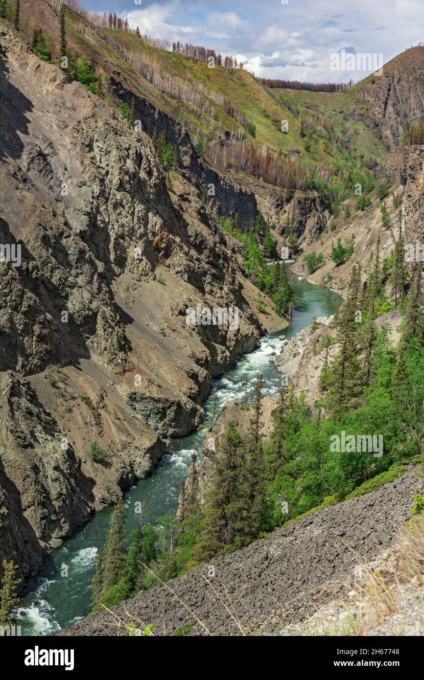 Canadá, Columbia Británica, vista desde Telegraph Creek Road, cañón del río Stikine Foto de stock