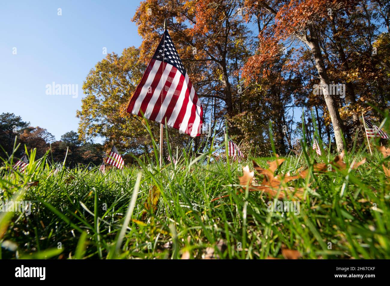Banderas del Día de los Veteranos sobre cada tumba en el cementerio nacional de Massachusetts en Bourne, Massachusetts en Cape Cod, EE.UU Foto de stock