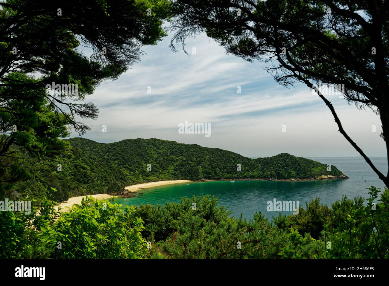 Mirando hacia el norte hacia Mutton Cove y Separation Point en el Parque Nacional Abel Tasman, Nueva Zelanda. Foto de stock