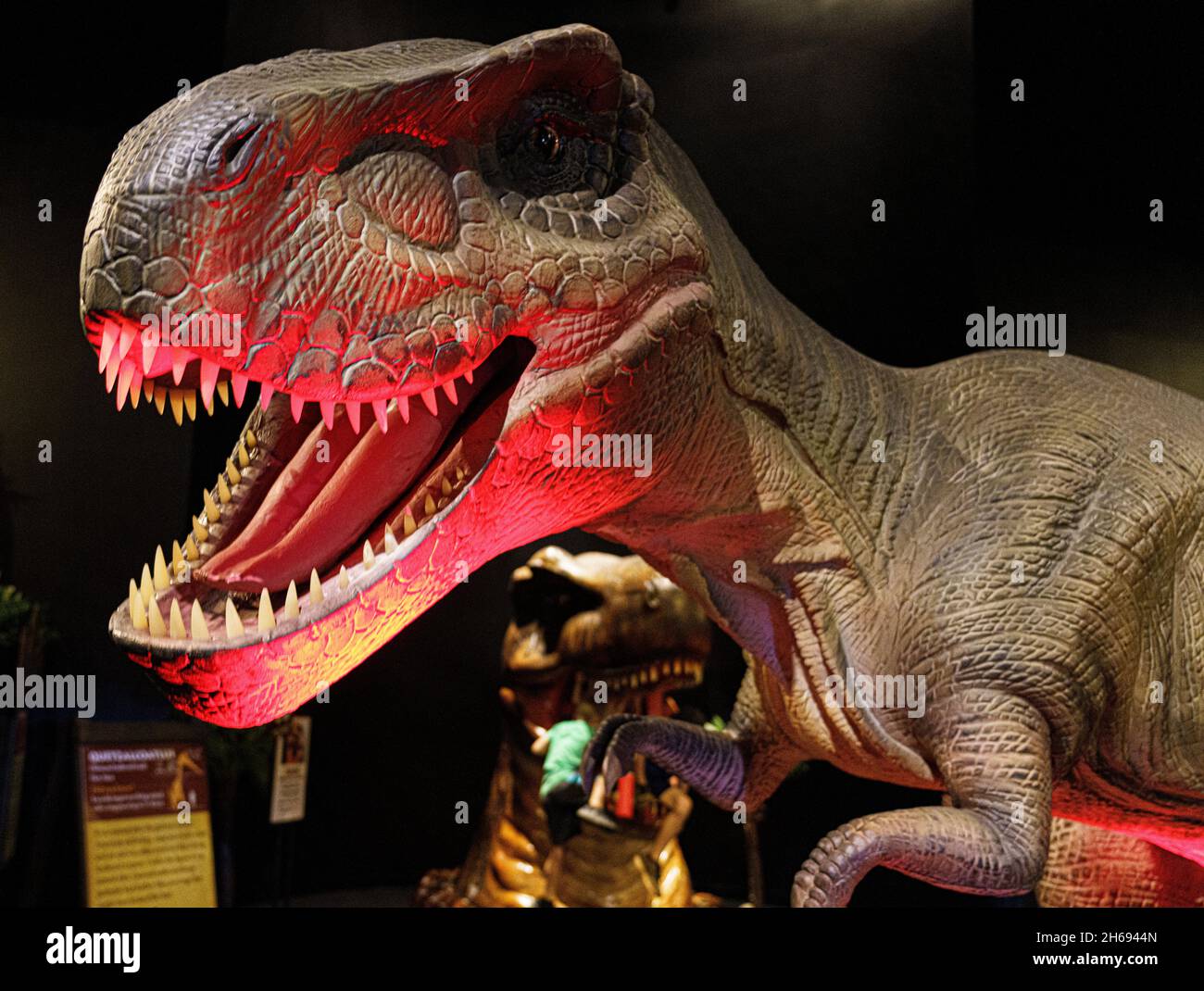 Waikiki, Honolulu, Hawaii - 31 de octubre de 2021-animatrónico Tyrannasaur Rex - T-Rex dinosaurio Fotografía de stock - Alamy Waikiki, Honolulu, Hawaii - 31 de octubre de 2021-animatrónico Tyrannasaur Rex - T-Rex dinosaurio Fotografía de stock - Alamy