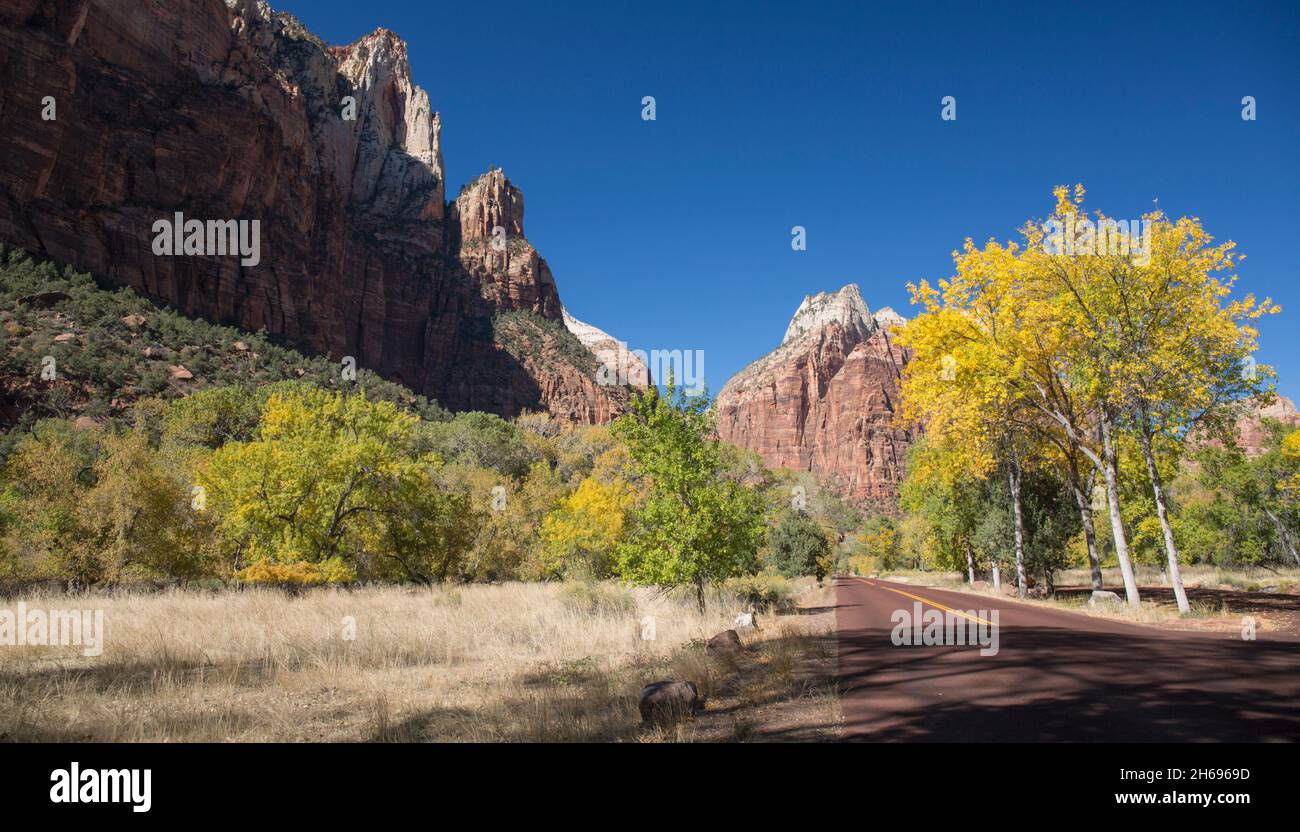 Parque Nacional Zion, Utah, Estados Unidos. Vista panorámica a lo largo de Zion Canyon Scenic Drive hasta los altos acantilados del Monte Majestic y Cathedral Mountain, otoño. Foto de stock