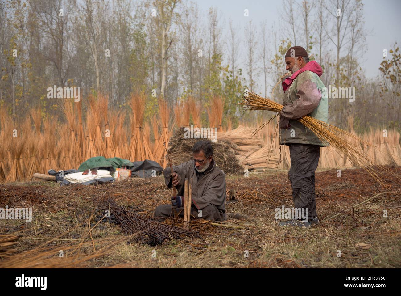 Un trabajador se pela de la corteza de palos de mimbre hervidos durante un día frío en Ganderbal.Wicker tejido ha sido una parte de tantas culturas en todo el mundo, y es de hecho la más antigua y más extendida de las actividades humanas. Cachemira ha venido cultivando sauce tradicionalmente en las orillas de los ríos, pantanosas o tierras despilfadas y se considera una intervención importante para detener la erosión del suelo. Wicker se utiliza para hacer muchos artículos tradicionales en Cachemira. (Foto de Idrees Abbas / SOPA Images/Sipa USA) Foto de stock