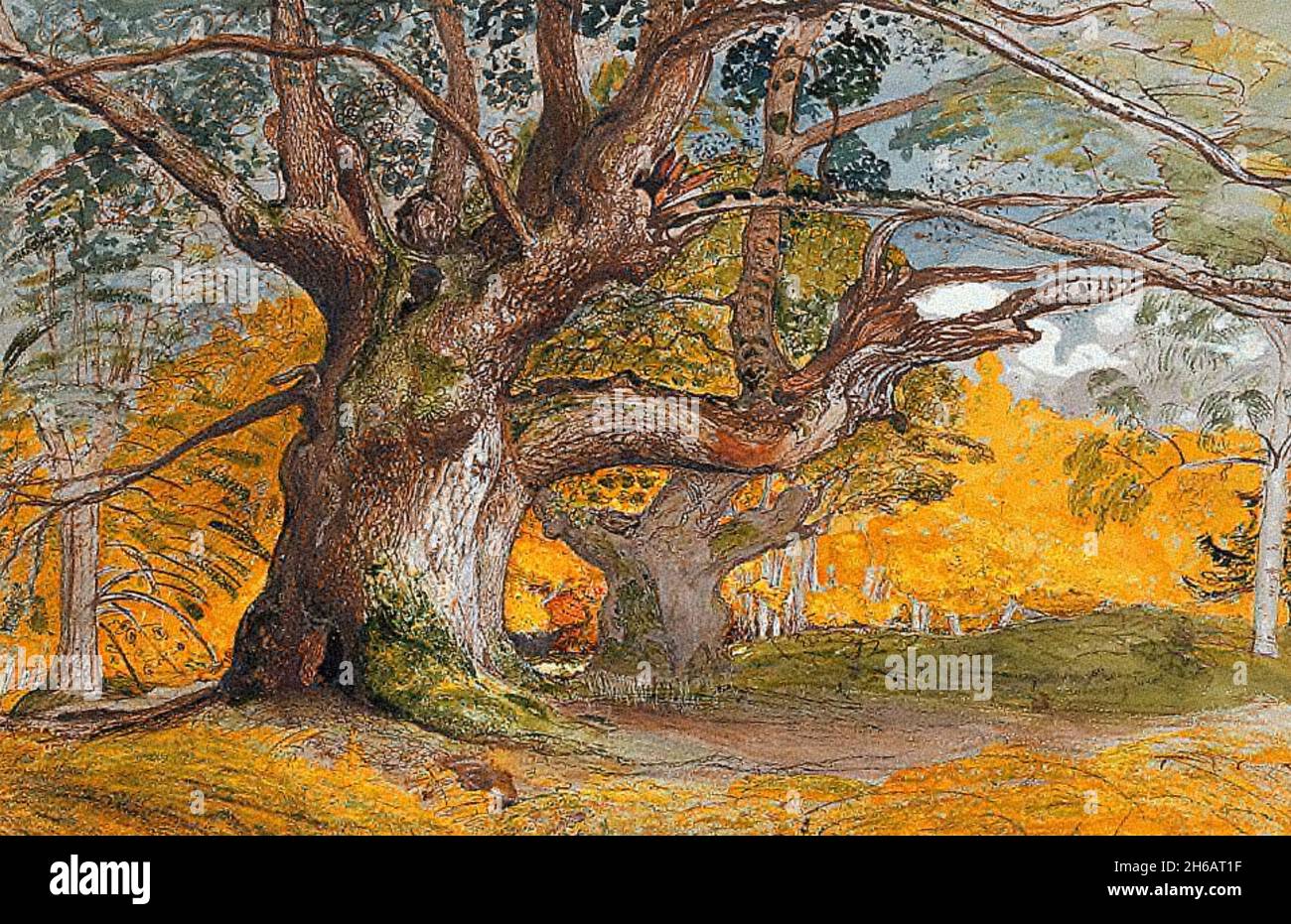 SAMUEL PALMER (1805-1881) pintor de paisajes inglés. Su cuadro de 1828 de  los medios mixtos de los árboles de roble, parque de Lullingstone  Fotografía de stock - Alamy