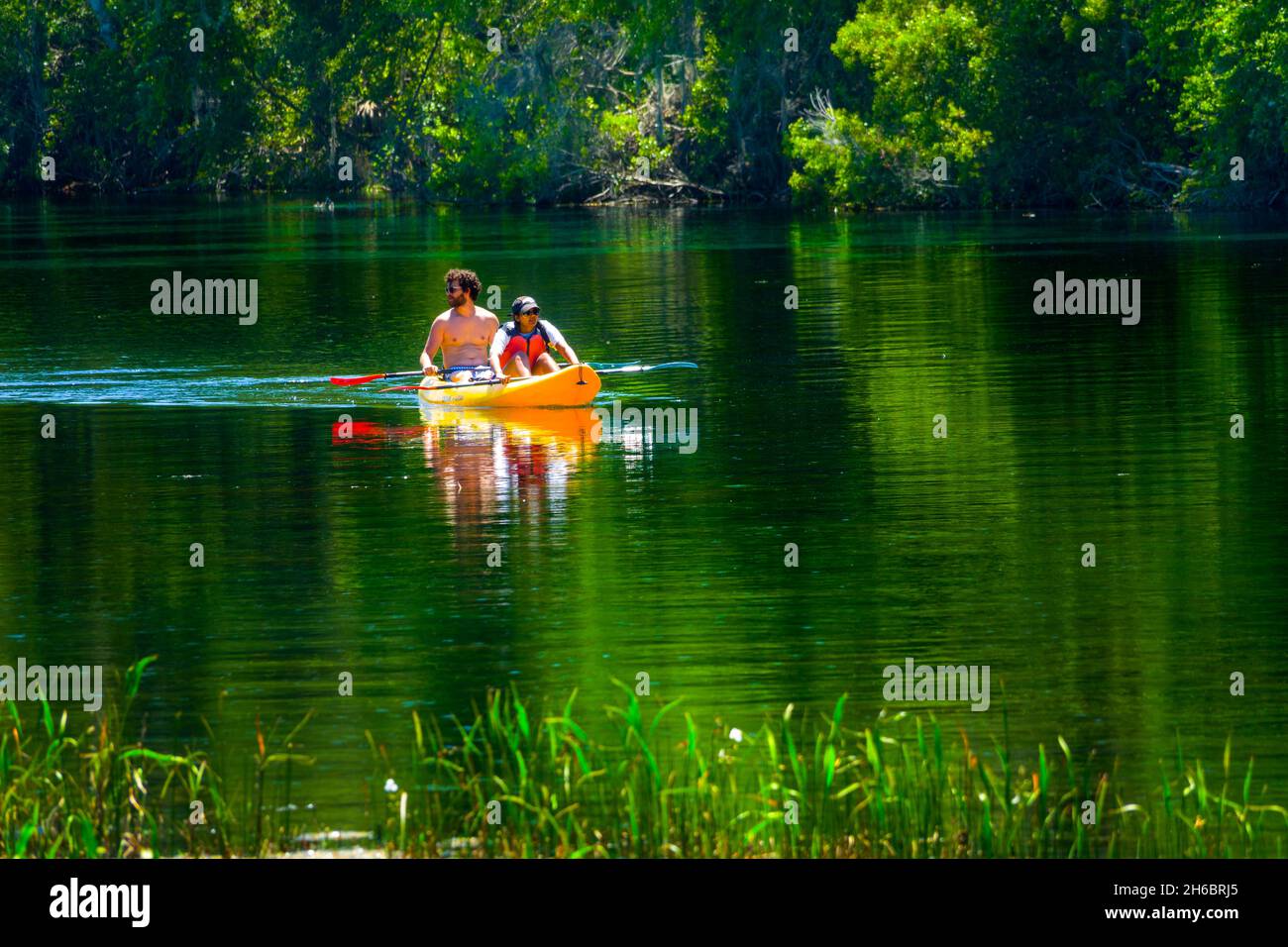 Rainbow Springs State Park Recreation Area Florida Foto de stock