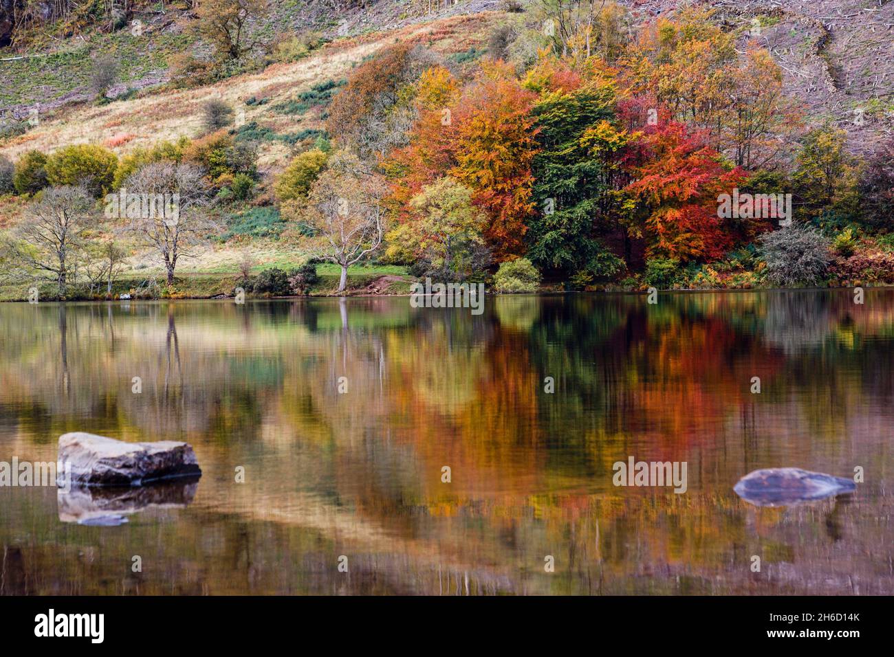 Reflexiones en el lago Llyn Geirionydd en el Parque Forestal de Gwydyr en otoño en el Parque Nacional de Snowdonia. Betws-y-Coed, Conwy, Gales del Norte, Reino Unido, Gran Bretaña Foto de stock