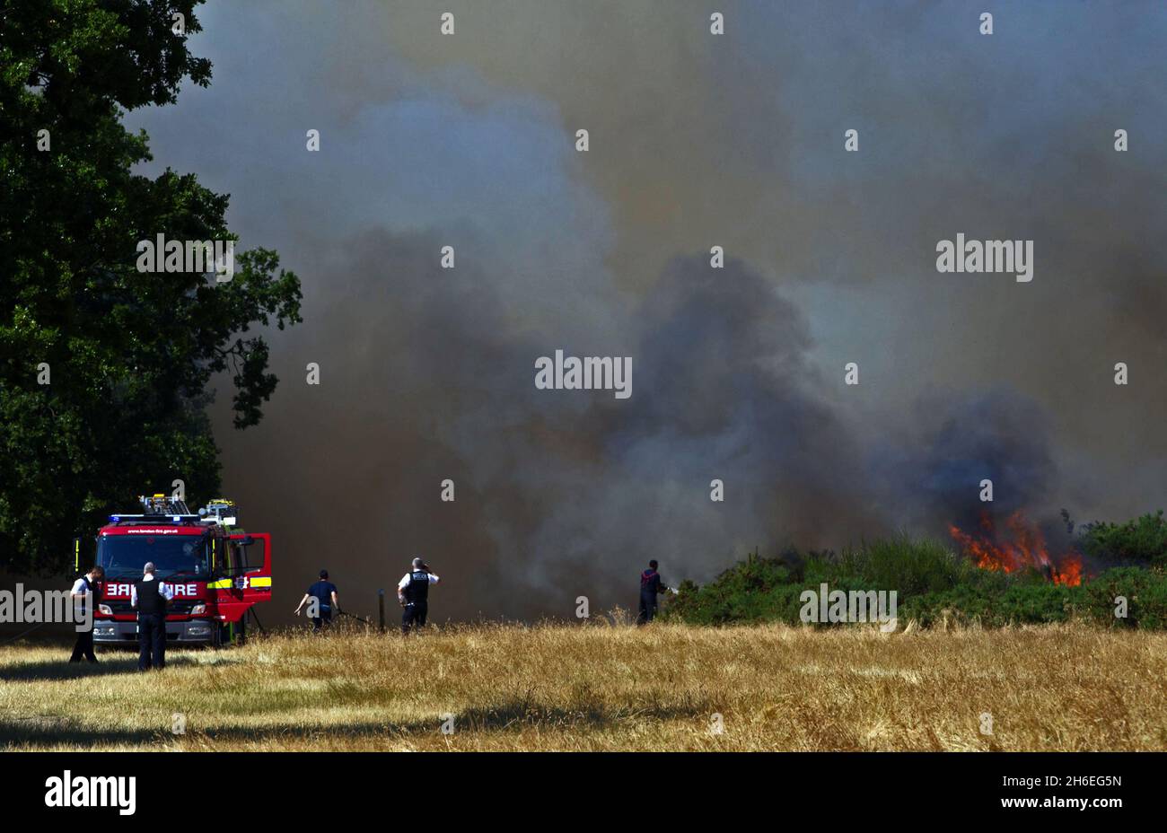 Los bomberos están tratando actualmente de controlar un incendio forestal provocado por la ola de calor en Waltham Forest, East London, esta tarde. Foto de stock