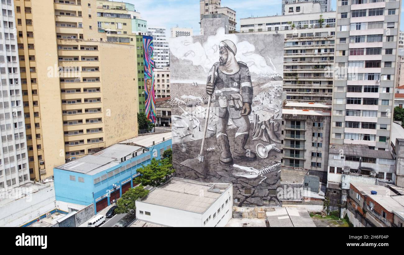 Sao Paulo, Brasil, 15 de noviembre de 2021, Brasil: Un mural titulado ''The  Forest Brigadier'', del artista y activista ambiental Thiago Mundano, cubre  un complejo de apartamentos como parte de su proyecto ''