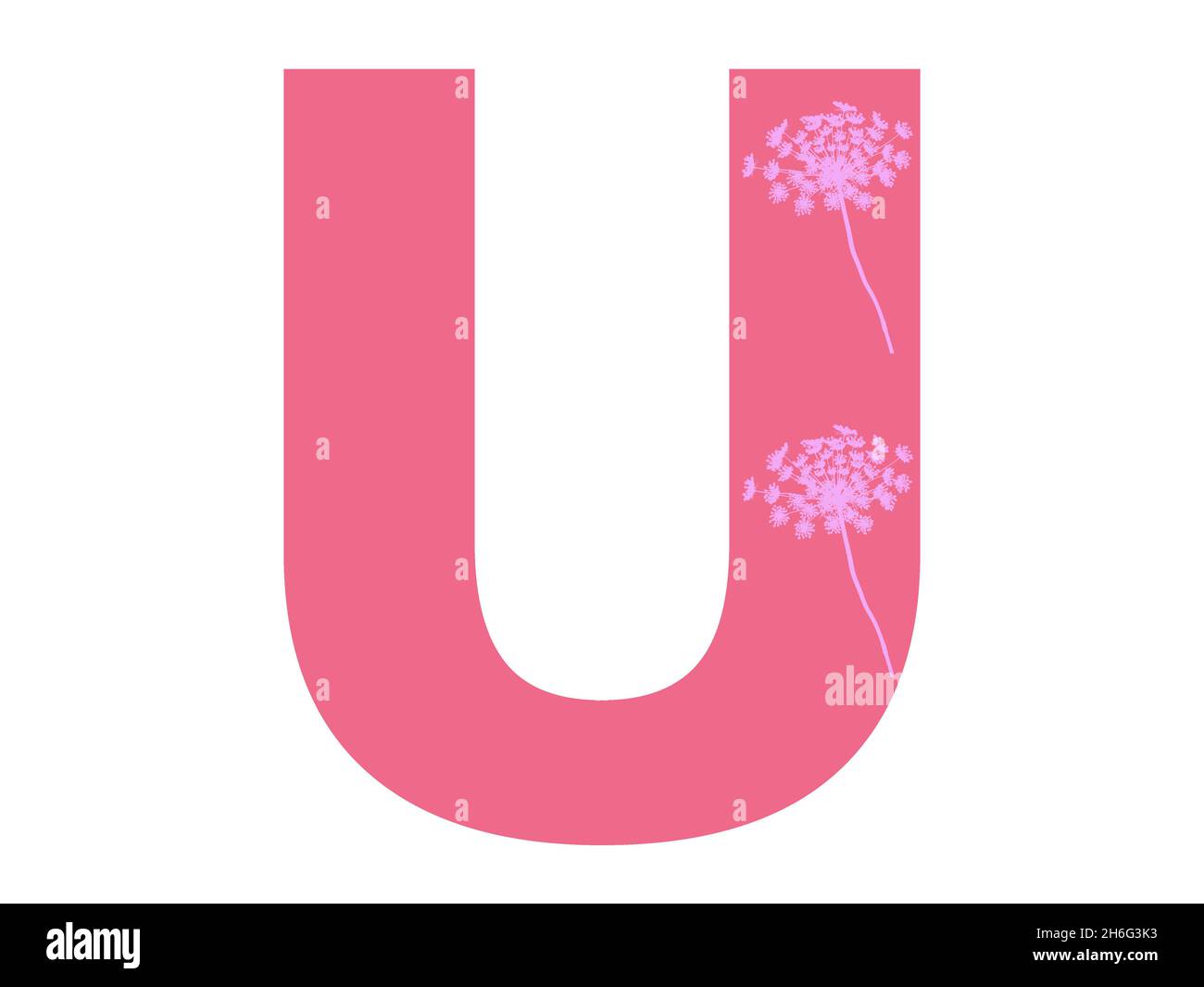Letra U del alfabeto hecha con silueta de flor rosa en un fondo rosa