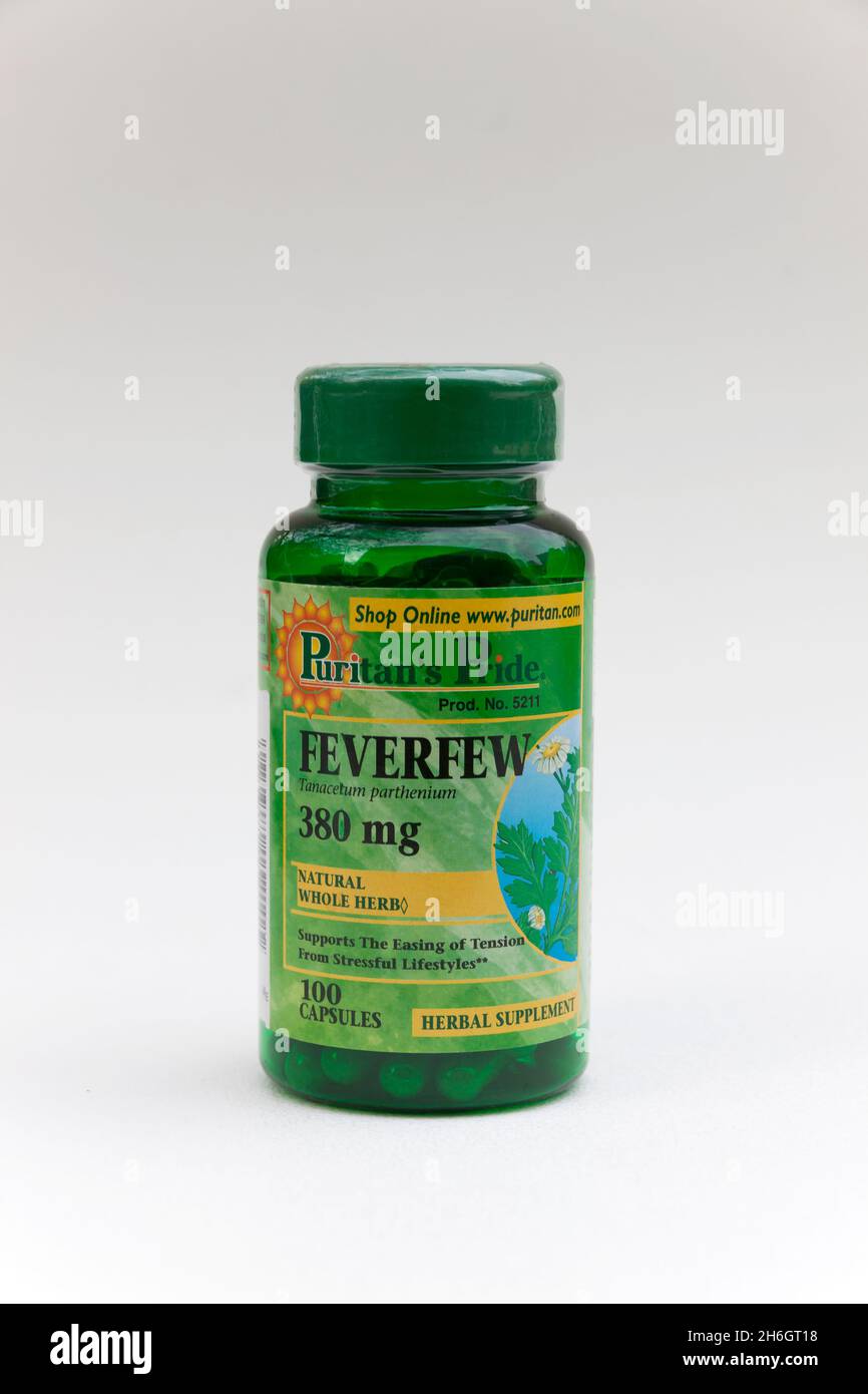 Feverfew suplemento herbario utilizado para las migrañas, tensión, inflamación, y picazón. Foto de stock