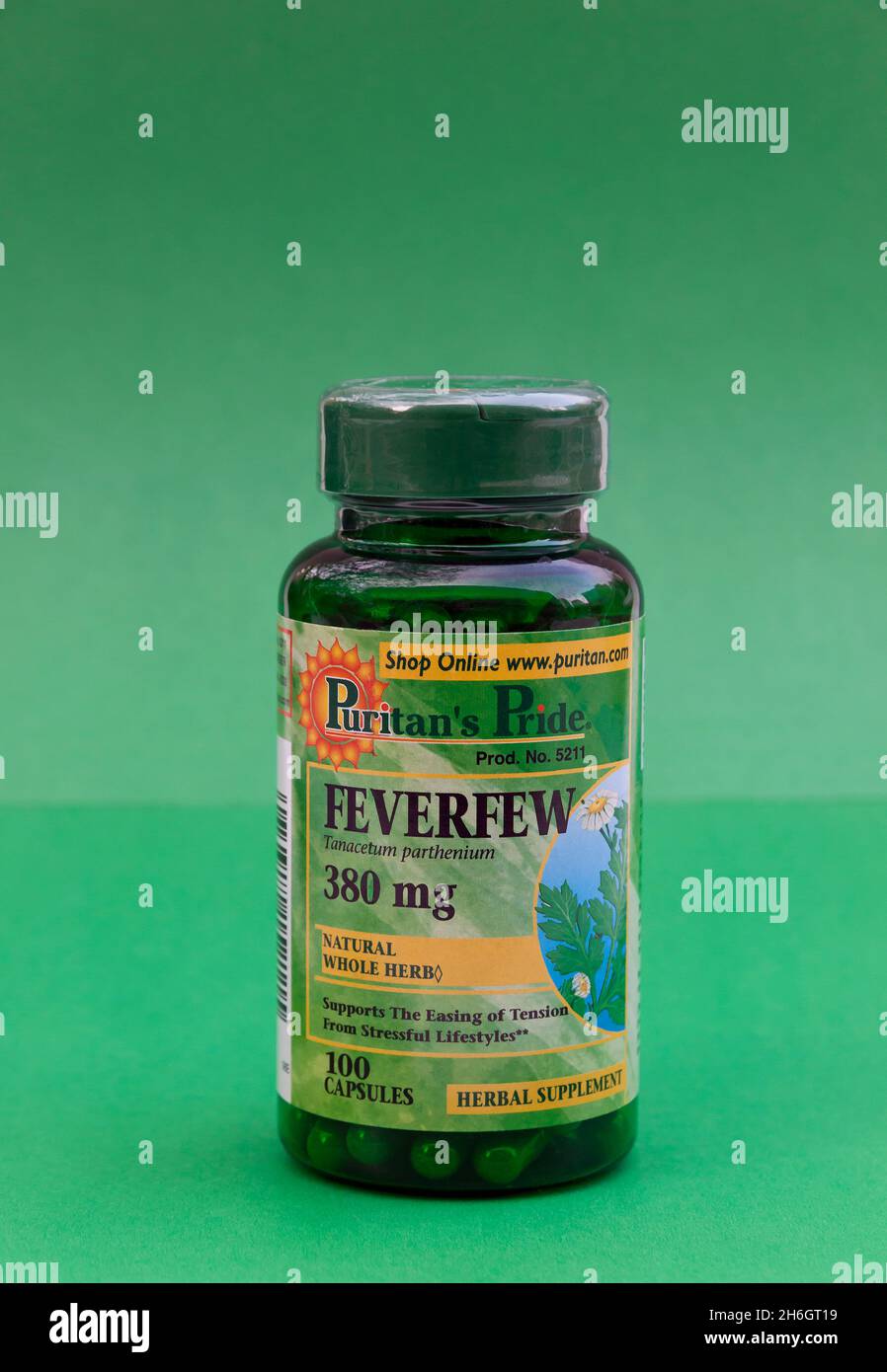 Feverfew suplemento herbario utilizado para las migrañas, tensión, inflamación, y picazón. Foto de stock