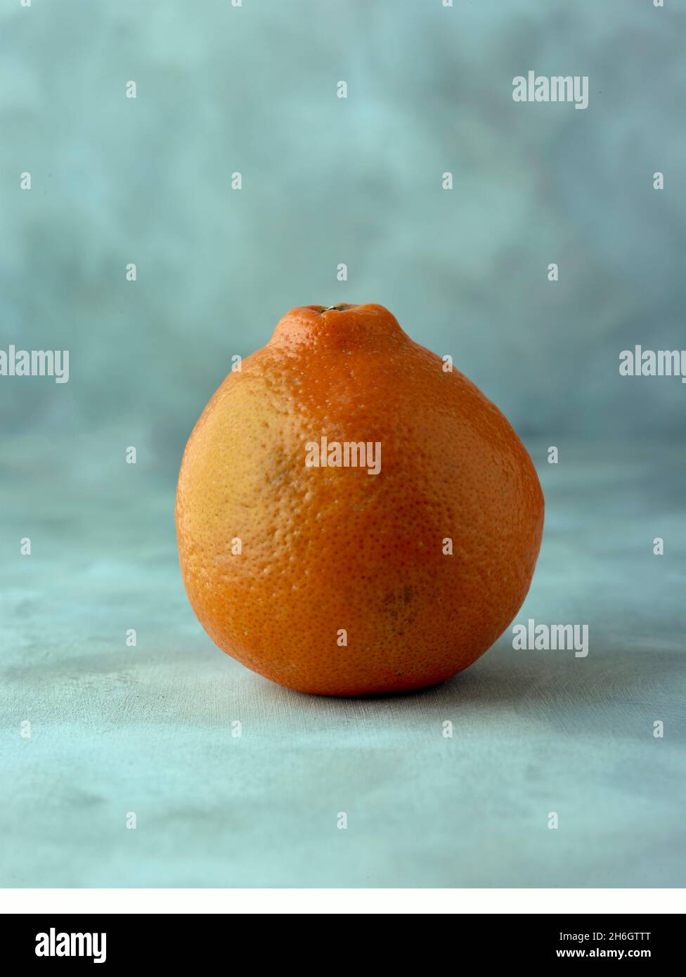 Super jugoso Tangelo (fruta de Mineola) alimentos de la vida fija