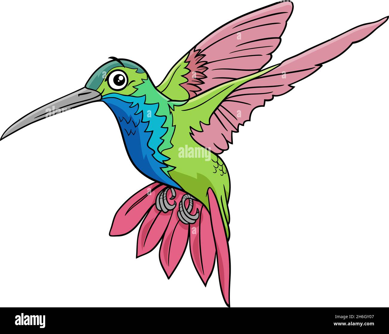 Ilustración de dibujos animados del divertido carácter de los colibríes de  los animales Imagen Vector de stock - Alamy