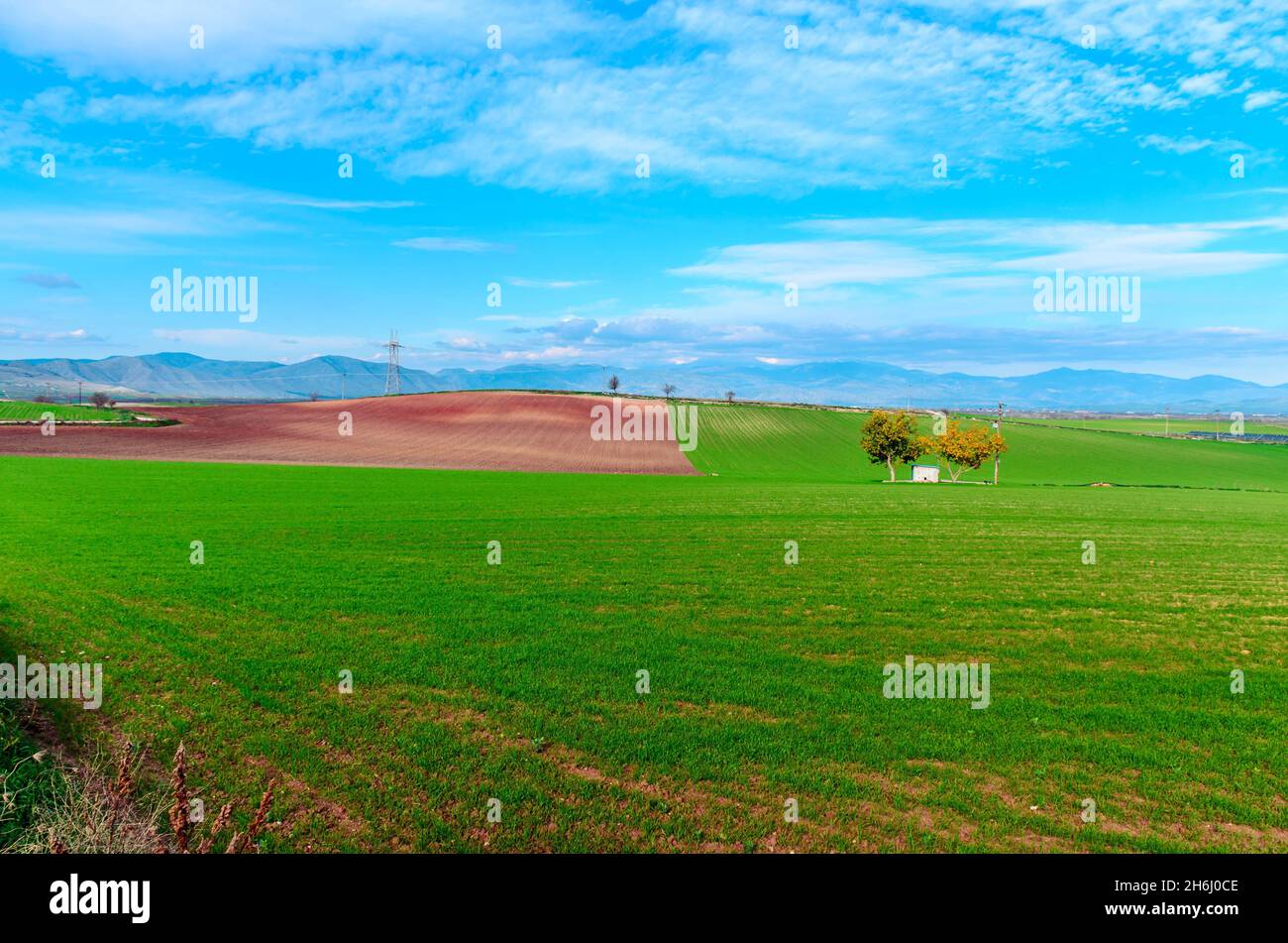 Amplio valle plano rural con campos agrícolas y exuberante verde en la llanura de tesalia. Foto de stock