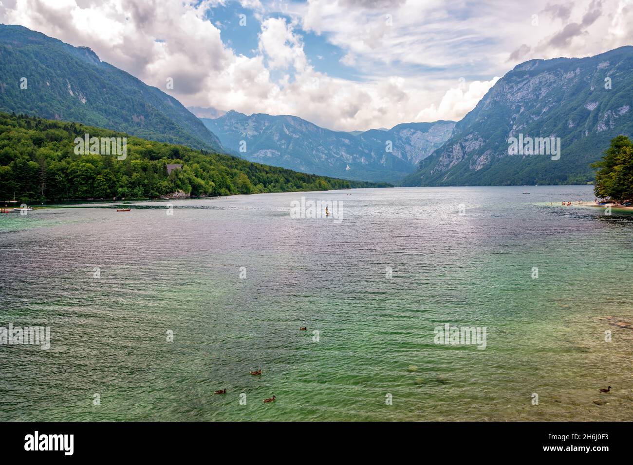 Vista del lago Bohinj en Eslovenia Foto de stock