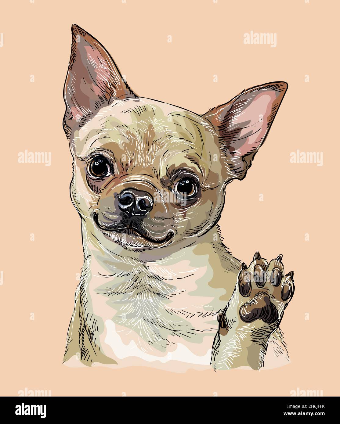 Chihuahua vector vectors fotografías e imágenes de alta resolución - Alamy Chihuahua vector vectors fotografías e imágenes de alta resolución - Alamy