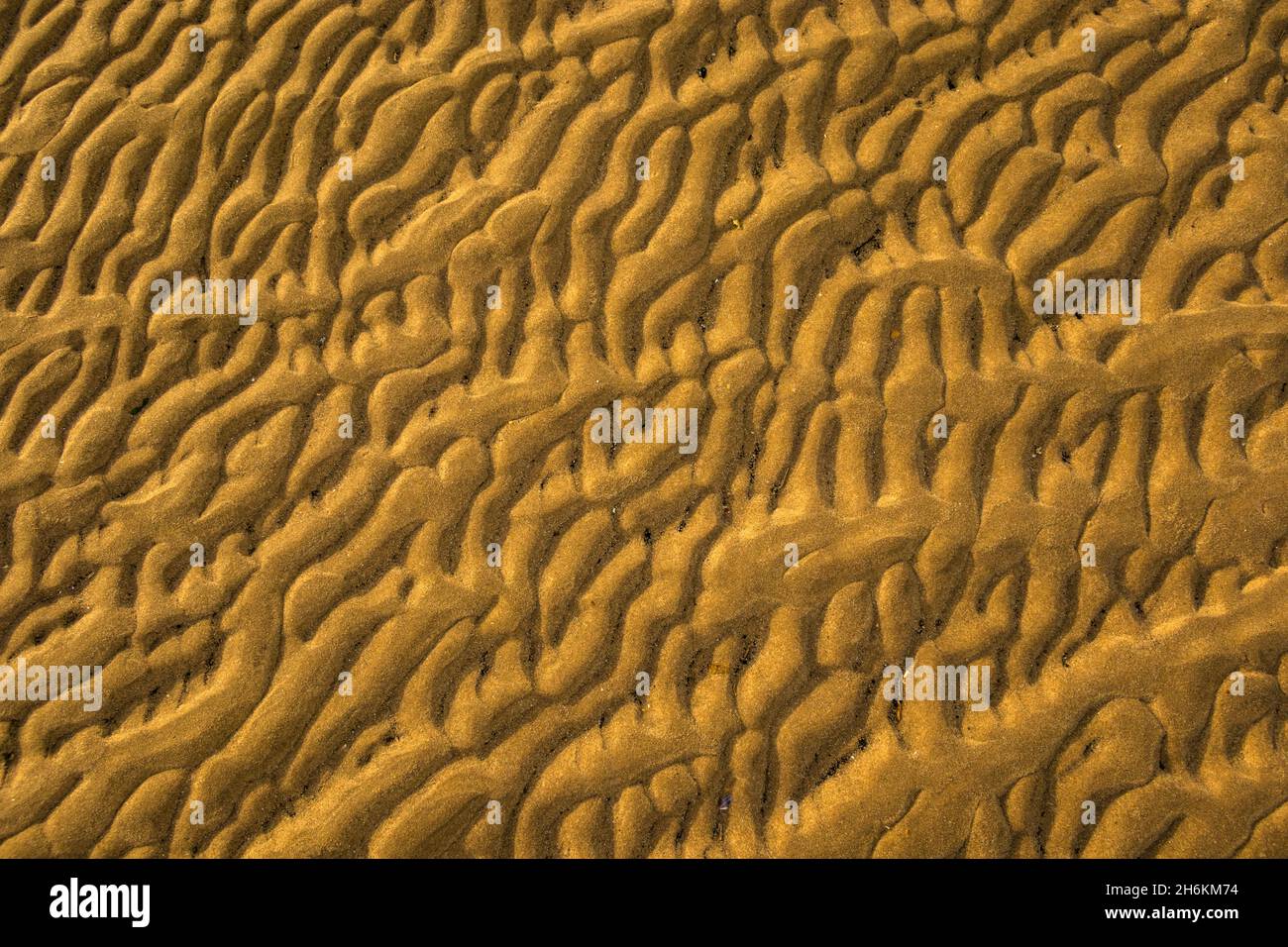 Primer plano de ondulaciones de arena formando patrones en la arena Foto de stock