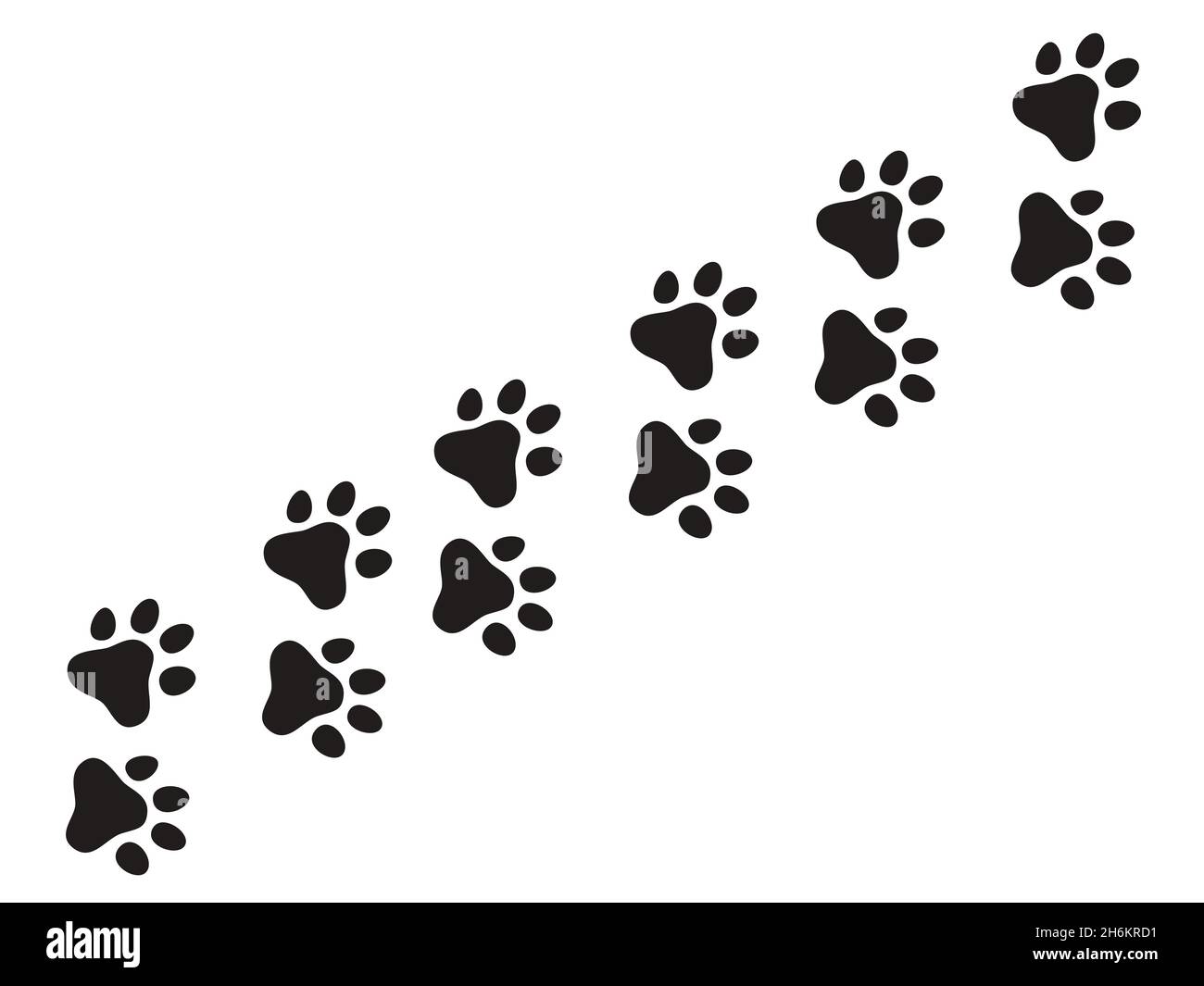 Gatos camino de pata. Huellas de lobo gato perro, perrito senderos naturaleza imprimir vector patrón Ilustración del Vector