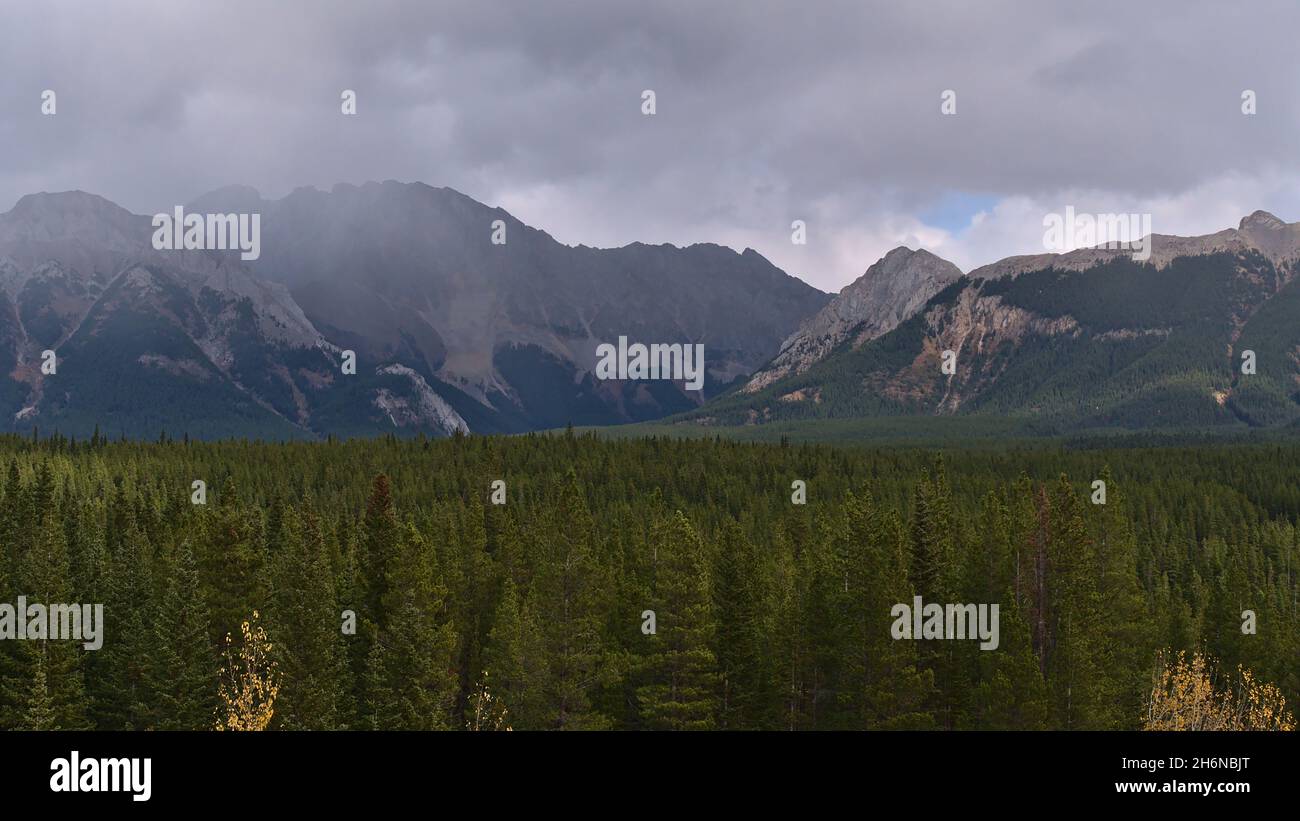 Hermosa vista sobre las salvajes Montañas Rocosas de Kananaskis Country en Alberta, Canadá en el día nublado en la temporada de otoño con denso bosque de coníferas. Foto de stock