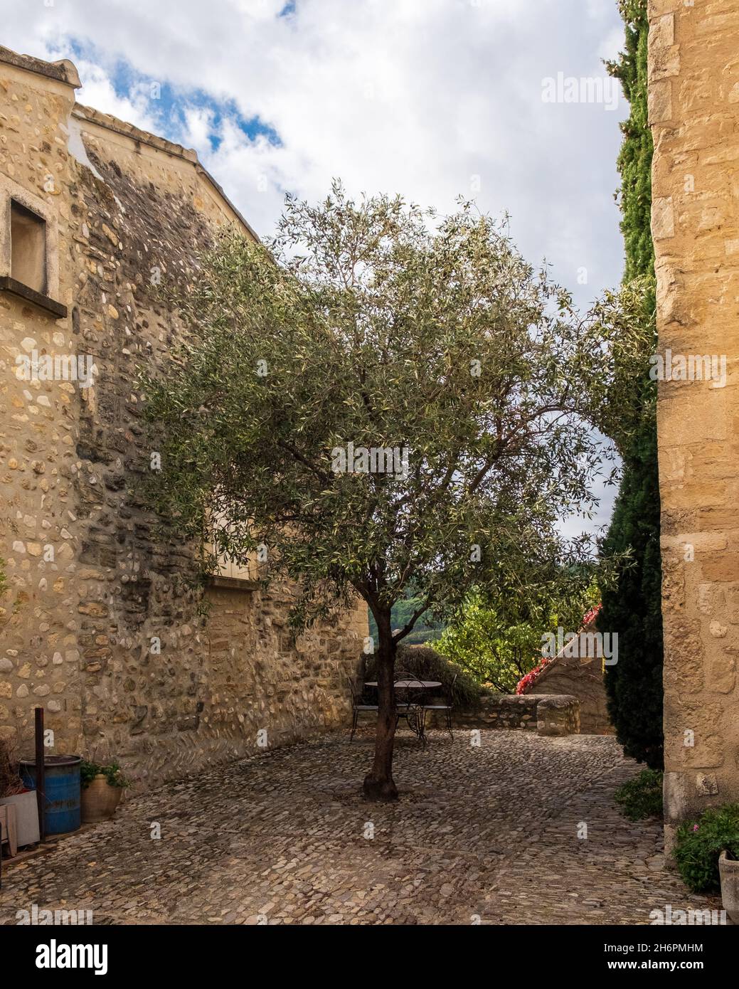 En el centro de la localidad de Vinsobres, hay un olivo en el patio adoquinado situado fuera de una casa antigua Foto de stock