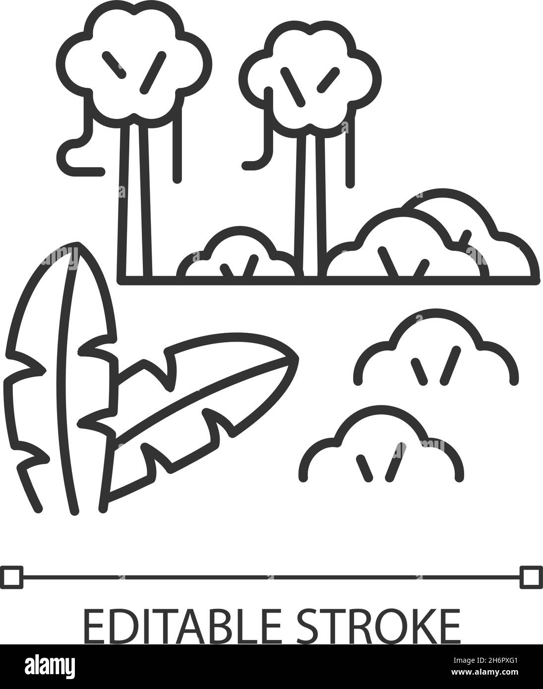 Bosque húmedo tropical Imágenes vectoriales de stock - Alamy
