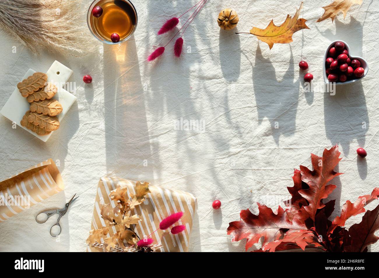 Decoraciones otoñales - arándanos, galletas, té y hojas secas de roble. Plano, vista superior sobre tela sin color. Fondo de otoño con espacio de copia. Foto de stock
