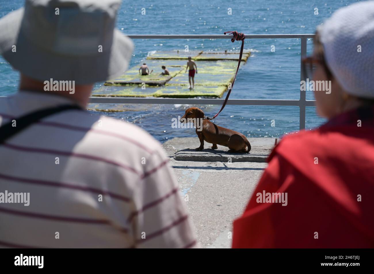 pareja mayor de hombres y mujeres sentados en primer plano con dachshund en una correa atada a una valla y nadando a los niños cerca del mar en el fondo Foto de stock