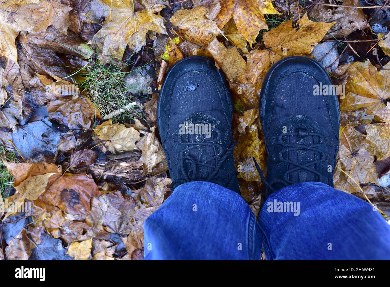 Los pies de los hombres en zapatos de senderismo en un fondo de hojas húmedas de otoño en el bosque. Calzado de lluvia para o mujer. Botas para el frío