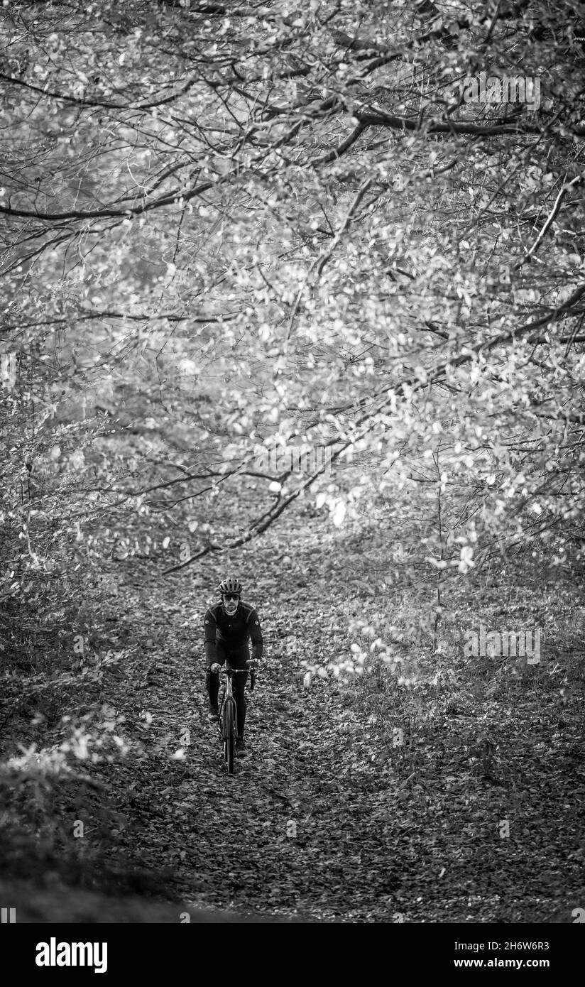 Hombre ciclista montando una bicicleta de grava a través de un entorno boscoso. Foto de stock