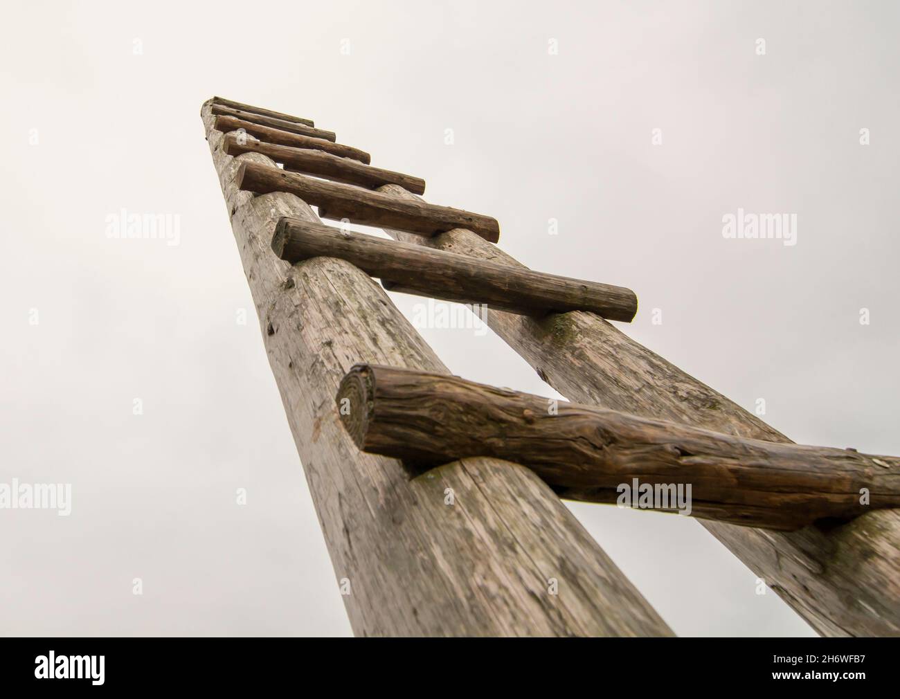 Antigua escalera de madera en el prado que conduce arriba en el cielo . Escalera al cielo. Símbolo de carrera. Foto de stock