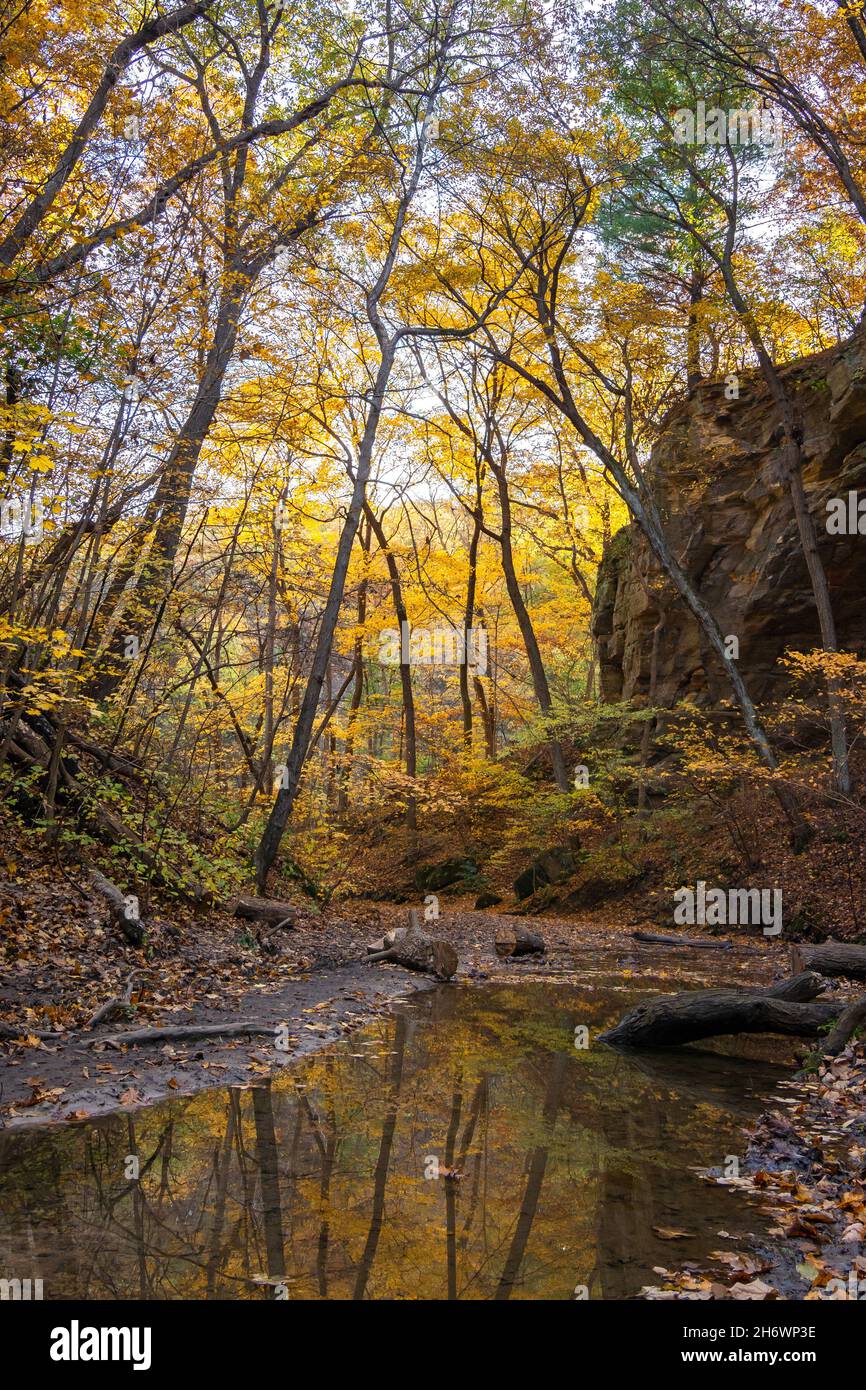 Reflexiones del otoño a primera hora de la mañana. Cañón de Ottawa. Starved Rock State Park, Illinois, Estados Unidos Fotografía de stock - Alamy Reflexiones del otoño a primera hora de la mañana. Cañón de Ottawa. Starved Rock State Park, Illinois, Estados Unidos Fotografía de stock - Alamy