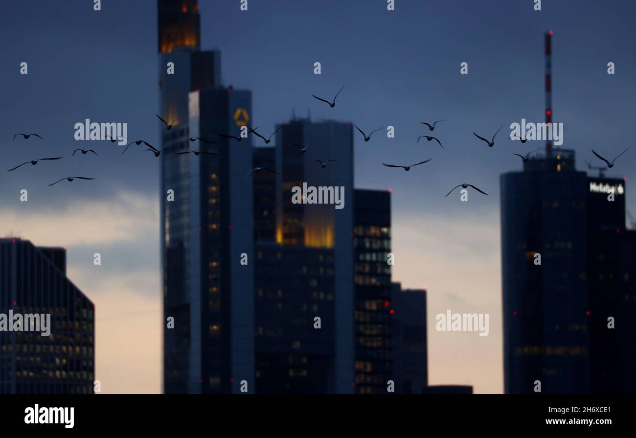 El horizonte con sus edificios de oficinas y el distrito bancario se fotografian durante la puesta del sol a medida que la propagación de la enfermedad coronavirus (COVID-19) continúa y el gobierno alemán planea nuevas medidas de control de la pandemia en Frankfurt, Alemania, el 18 de noviembre de 2021. REUTERS/Kai Pfaffenbach Foto de stock