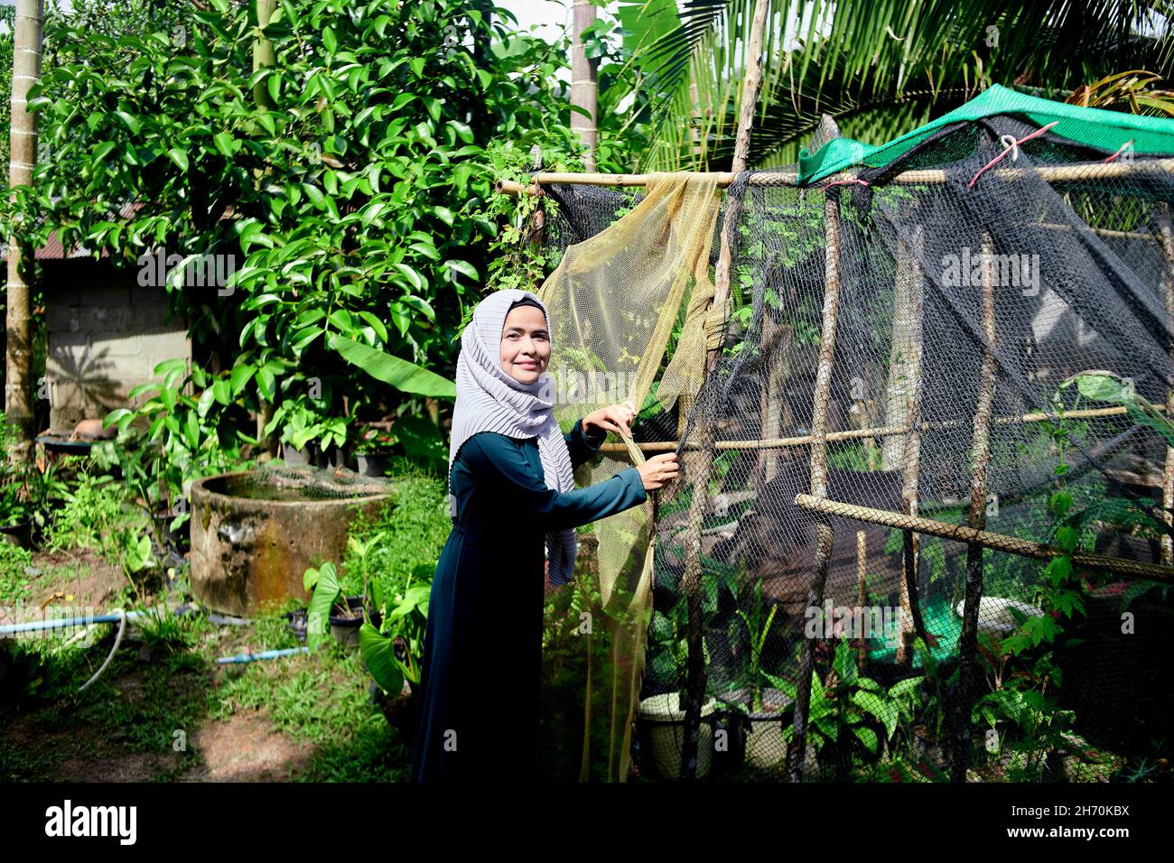 Una mujer musulmana cierra la planta de la casa en la escena rural Foto de stock