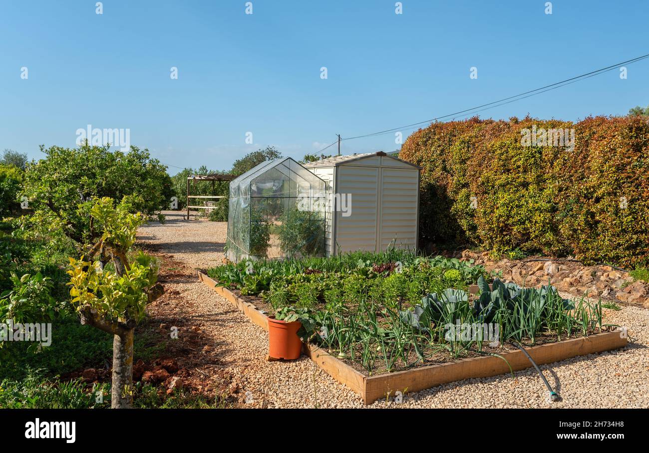 Mini-invernadero hecho de plástico en el jardín, para el cultivo de plántulas de verduras en casa, a principios de la primavera instalado en el jardín. Sólo para uso personal. Foto de stock