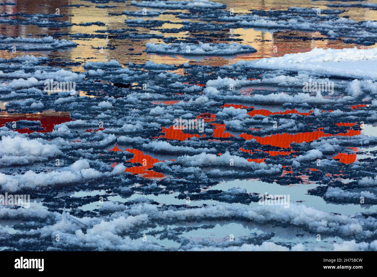 El hielo fluye en el río Weser en invierno, con reflexiones de las casas, Baja sajonia, Alemania Foto de stock