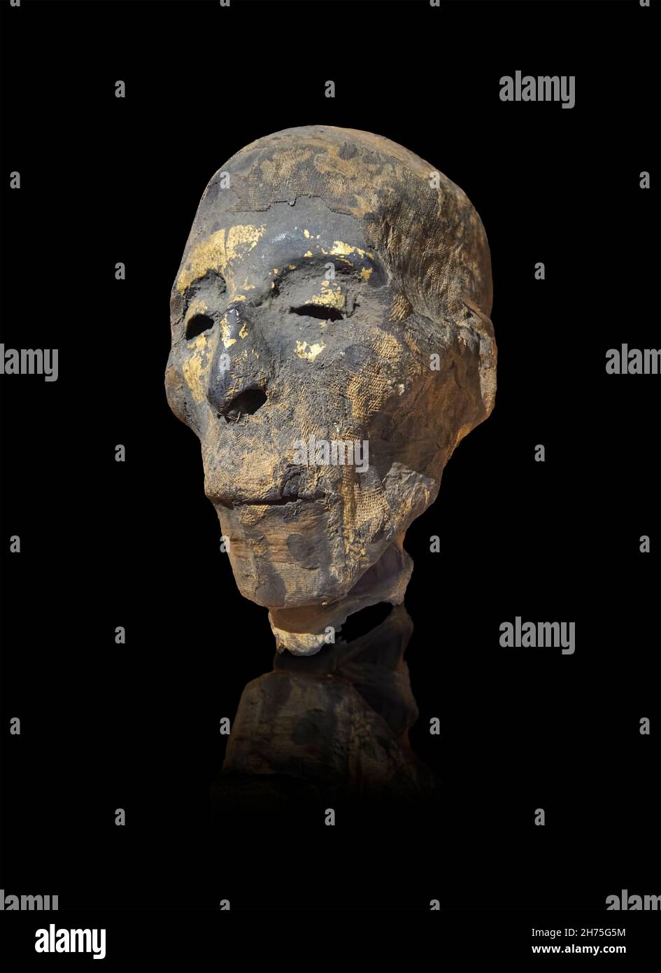 Cabeza momificada masculina egipcia romana, 2nd céntimos COMO, . Museo