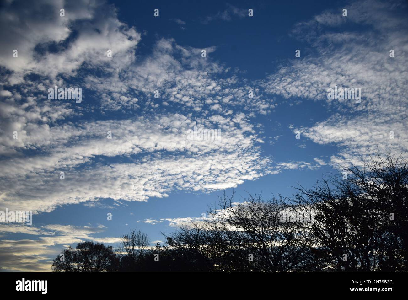 Cielo temprano por la mañana con nubes de Altocumulus moviéndose a través de la escena. Foto de stock