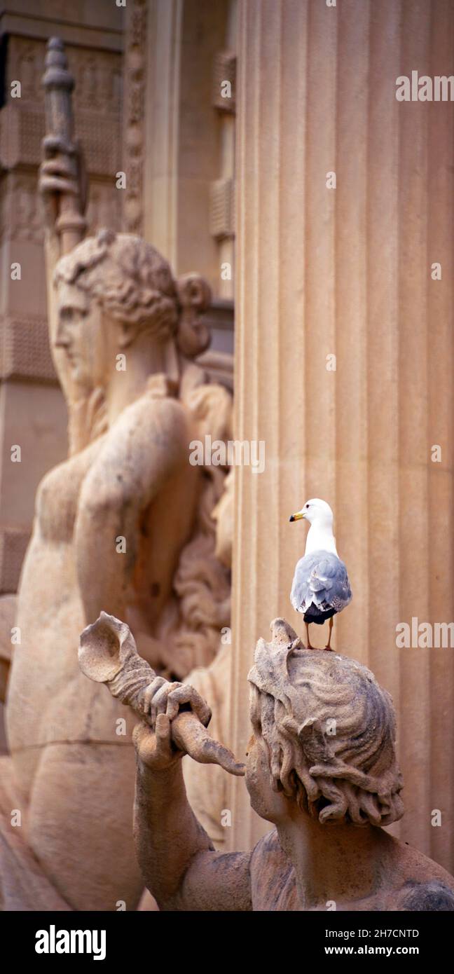 Gull en una escultura en el palacio Longchamp, Francia, Bocas del Ródano, Marsella Foto de stock