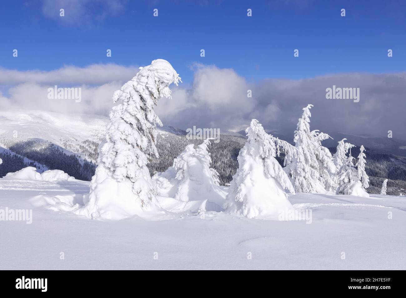 Suelo cubierto de hielo fotografías e imágenes de alta resolución - Página  9 - Alamy