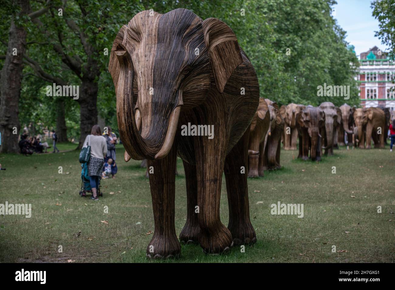 Exposición de arte ambiental de coexistencia con 100 elefantes de lantana de tamaño natural en Green Park, recaudó más de 3m libras para proyectos de vida silvestre y humana, Londres. Foto de stock